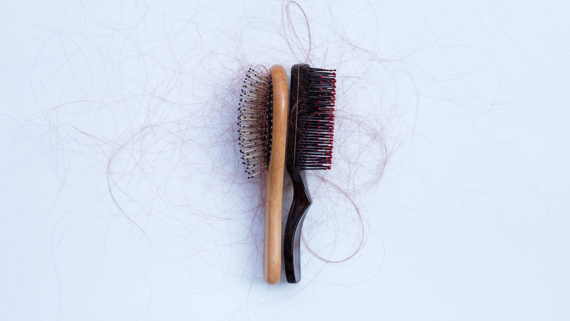 hairbrush with hair from hair loss